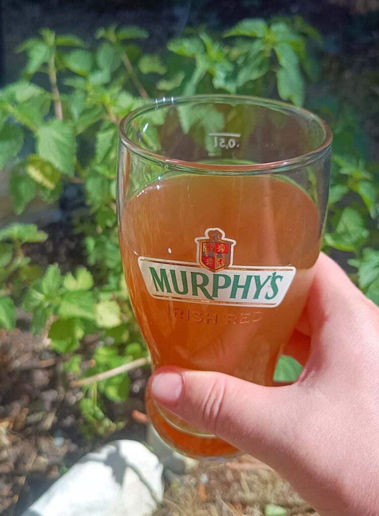 stinging-nettle-beer-1